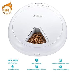 Ankway Bebedero Gatos, Fuente para Gatos Automático Bebedero para Mascotas 1.6L con filtros de Carbón y Detector de Nivel de Agua, Dispensador de Mascotas Silenciosa para Gatos y Perros