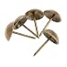Produktbild 100Pcs Nagel Sofa dekorative Klebe Schmucksache Geschenk Kasten Antike Bronzen Bolzen groß