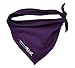 "December-Triangular Neckerchief for Baby-Asymmetrical -  Purple - Small