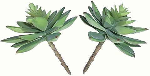 Woop Artificial Succulent 5" Echeverias(2pcs)