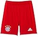 Produktbild FC Bayern München Adidas Performance Kinder 19/20 Heim Fußballshorts rot 128
