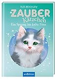 Zauberkätzchen - Ein Sprung ins kalte Nass by 