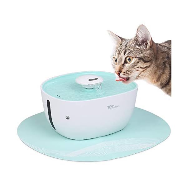 Amzdeal 22l Fontaine à Eau Pour Chat Et Chien Saine Et Silence Distributeur Eau Avec Filtre Fontaine à Fleurs Automatique Pour Chat 2 Formes