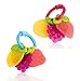 The First Years Fruity Teether (Pink or Blue)