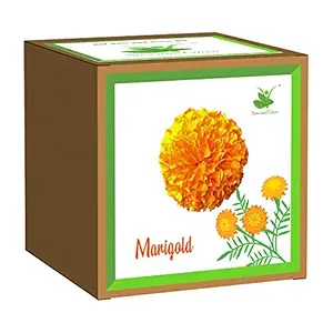Sow and Grow DIY Seed Starter Easy Grow it Yourself Gardening Kit of Marigold - Beginner Gardeners Gardening Set