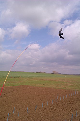 Cometa espantapájaros de calidad profesional