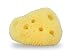 Constantia Beauty 12 Pack Natural Sea Silk Sponges 1.5"-3" Sizes for Cosmetic Use