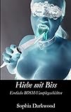 Image de Hiebe mit Biss: Erotische BDSM-Vampirgeschichten