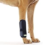 RockPet Attelle pour Articulation Patte Avant pour Chien, Bandage Thérapeutique de Hanche pour Canins (S/M)