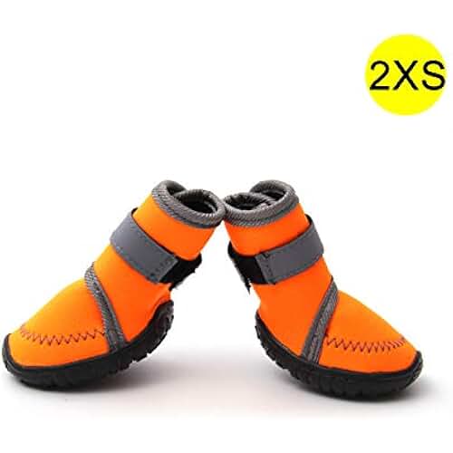 Suchergebnis auf Amazon.de für Neoprenanzug Hunde Haustier