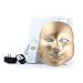 LED Photon Therapy Red Blue Green Light Treatment Facial Beauty Skin Care Phototherapy Mask - Gold
