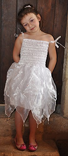 Romantic in Organdy Tutu Princess Dress