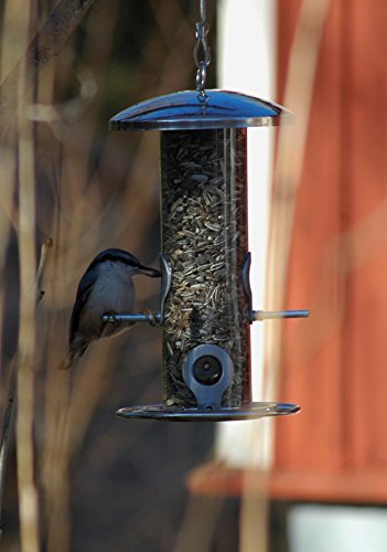 dobar 10089 Futterspender mit vier Futterplätzen für Vögel, Futterstation-Futtersäule zum Aufhängen für Wildvögel, 14 x 14 x 26 cm, metall - 2