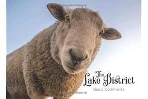 Guest Comments Book The Lake District National Park Highland Sheep: Funny Guestbook for Cottage, Air BNB, Hotel, Self Catering Guests in The Lakes - Large Sized Book With A4 Landscape Pages