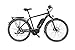 Produktbild FISCHER E-Bike TREKKING Herren ETH 1761, Mittelmotor 48 V/557 Wh "Powered by BAFANG", Navi (Teasi)und Shimano XT-Schaltwerk