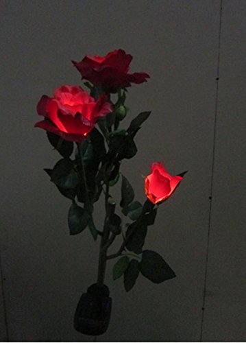 ANKKO Solarbetriebene künstliche Rose Blumen LED Leuchten Garten Landschaft Decor – Rot - 8