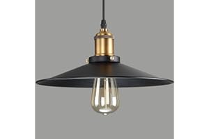 CHAO ZAN Luminaire Suspension Vintage Loft Style DIY Installation Facile pour éclairage Cuisine, Salle à manger, Salon, Chambre D'enfants et de restaurant(30cm)（E27 Ampoule non incluse）