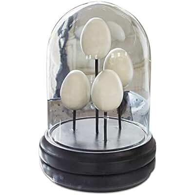 Suchergebnis auf Amazon.de für: kuchenglocke glas - Wohnaccessoires