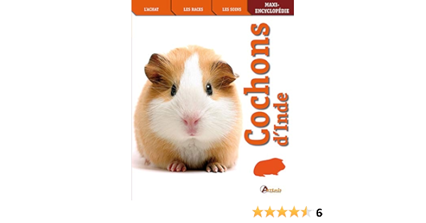 Amazon Fr Cochons D Inde Artemis Livres Amazon Fr Cochons D Inde Artemis Livres