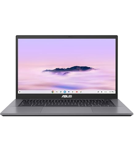 Ordinateur Portable Chromebook ASUS C423NA-BV0051 - 14 HD - Intel