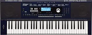 Roland E-X30 Arranger Keyboard (61 keys)