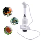 incubadora ciclidos africanos Proporciona agua limpia para huevos de peces no adherentes, para ayudar a prevenir el moho y el crecimiento de hongos.