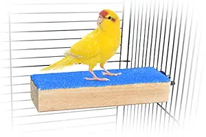 Spoiled Pet Bird Cage Perch Stand - Beak and Foot Grinding Platform - All Natural Materials - Parakeets, Cockatiels, Canaries, Finches, Conures, Lories, and Budgies - Hamsters and Gerbils (Wood Perch)