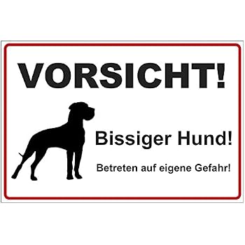 Hundeschild "Freilaufende Hunde" – Aluminium, 30x20cm, Edelstahloptik | Wetterfest & Robust