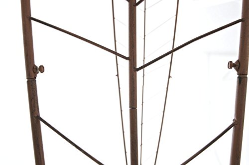 CLP Rosenbogen ELLEN, Metall, pulverbeschichtet, Höhe 245 cm, Größe 160 cm x 35 cm antik braun - 7