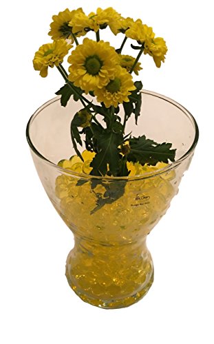 8000 Stück / 20Liter Wasser Kugeln Gel Bälle CHRISTAL ERDE CHRYSTAL Perlen Vasen Dekoration 11-15mm Durchmesser / 200Gramm – Pflanzen Kerzen Blumen Wasserspender Raumbefeuchter KRISTALL HINGUCKER (Transparent) - 6