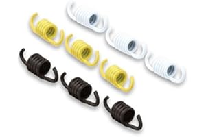 TRIS KIT MOLLE MOLLETTE MALOSSI ORIGINALI PER FRIZIONE TRASMISSIONE VARIATORE PIAGGIO CIAO SI BRAVO BOXER BOSS GILERA ECO CBA ENTRA NEL NEGOZIO AMAZON