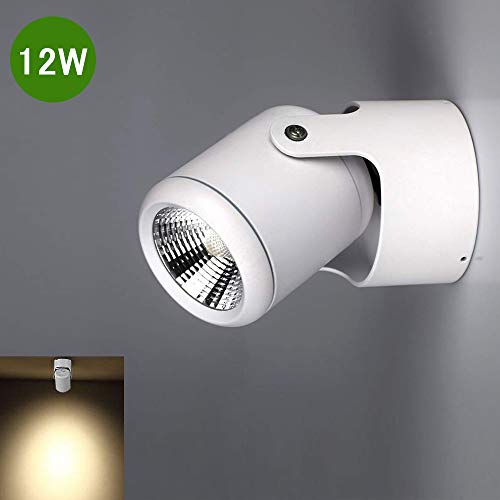 Preisvergleich Produktbild Deckenlampe LED Spot Wandlampe Downlight Moderne Deckenleuchte Deckenstrahler Weiß Wandstahler Spotleuchte für Küche, Badezimmer Flur Schlafzimmer 3000K Warmweiß 12W 960LM ...
