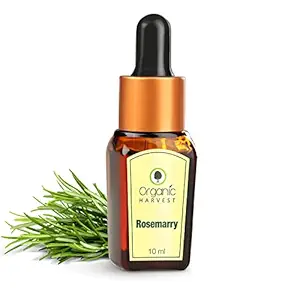 Organic Harvest Rosemary Essential Oil, Lighten Dark Spots, Promotes Hair Growth, Reduce Dandruff, Pure & Undiluted Therapeutic Grade Oil, 10ml