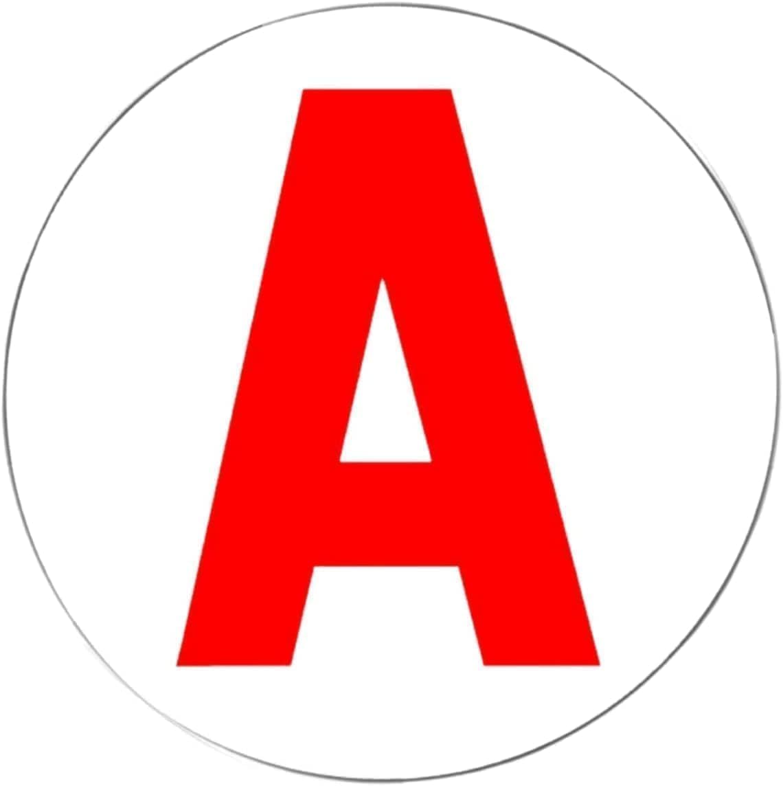 Vue 10