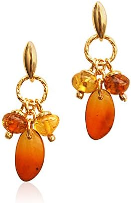 Goldmajor Women 925 Sterling Silver Amber Dangle and Drop Earrings ER1343