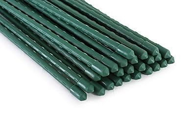 Tingyuan Jardin Piquets en acier pour plantes Piquets 48 Inches Green