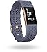 Produktbild Fitbit Charge 2 Unisex Armband zur Herzfrequenz und Fitnessaufzeichnung – Grau Blau, L