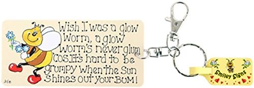 Pack of 6 Glow Worm Key Rings