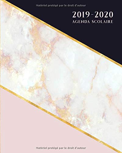 Télécharger Agenda Scolaire: Planificateur Organisateur Mensuel et Semainier - Bleu Rose Marbre Livre eBook France