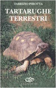 Tartarughe terrestri Tartarughe terrestri