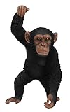 Vivid Arts XRL-CHM5-B Hanging Chimpanzee Resin Ornament (Garden &amp; Outdoors)