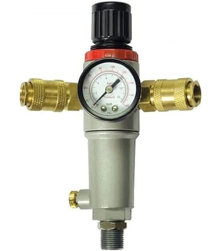 Regolatore Di Pressione Con Manometro E Filtro FIAC - 12 Bar Max, 180 L/min - Per Compressori - Foto 3