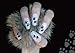 Nail Stencils by Glamstripes - Paws