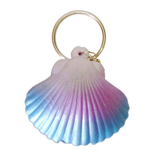 Preisvergleich Produktbild Muschel und Perle Stressball in blau-lila - Muschel mit Perle Antistressball Knautschball Knetball