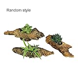 Es kann sowohl als Blumentopf als auch als dekoratives Produkt verwendet werden. Es wird aus durch Langzeitbewitterung entstandenen natürlichen Baumwurzeln hergestellt. Somit ist es haltbar, erfährt keine Fäulnis und altert nicht leicht.