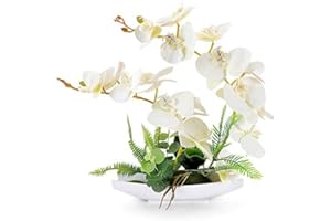 YOBANSA Real Touch Orchidea finta Bonsai Fiori artificiali con imitazione Vasi da fiori in porcellana Phalaenopsis Composizione floreale per la decorazione domestica Regali di Natale (White)