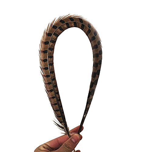 Vejaoo Fasanenfedern 100 Stk 35-40cm Fasan Feder Fasan Schwanzfedern Echte Fasanenfedern, Hutfeder - 4