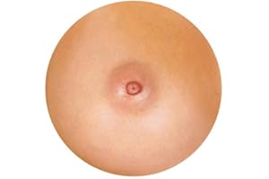 123T SLIPMATS DJ Record Turntable Slipmats NIPPLE SLIPMAT x 1 (Single) birthday funny gift for him for her