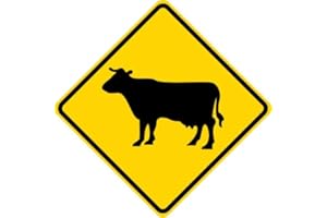 BCTS Panneau d'avertissement en métal avec inscription « Vaches de bétail traversant Symbol »