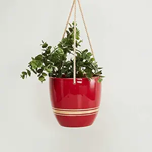Home Centre Valencia Solid Hanging Planter